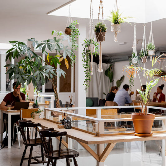 Mahjong Brunch - The Tea Lab
